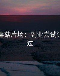 凌晨的蘑菇片场：副业尝试让我别跳过