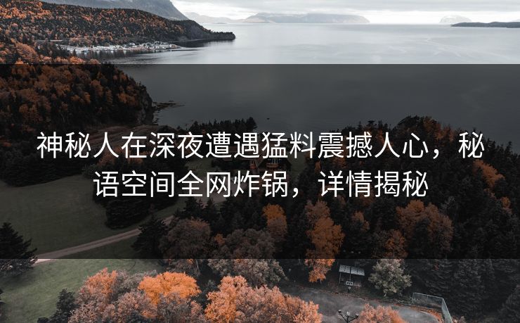 神秘人在深夜遭遇猛料震撼人心，秘语空间全网炸锅，详情揭秘