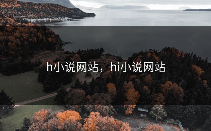h小说网站，hi小说网站