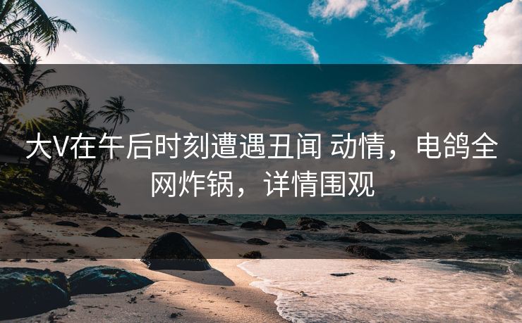 大V在午后时刻遭遇丑闻 动情，电鸽全网炸锅，详情围观