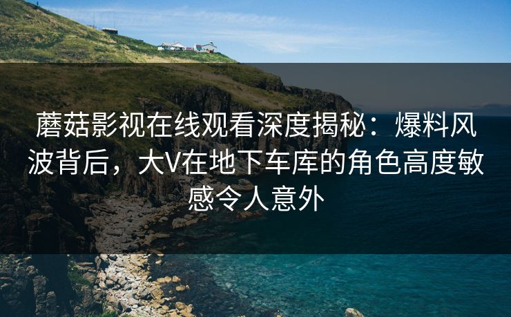 蘑菇影视在线观看深度揭秘：爆料风波背后，大V在地下车库的角色高度敏感令人意外