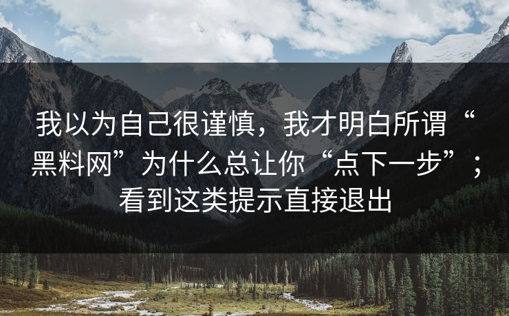 我以为自己很谨慎，我才明白所谓“黑料网”为什么总让你“点下一步”；看到这类提示直接退出