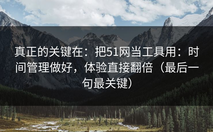 真正的关键在：把51网当工具用：时间管理做好，体验直接翻倍（最后一句最关键）