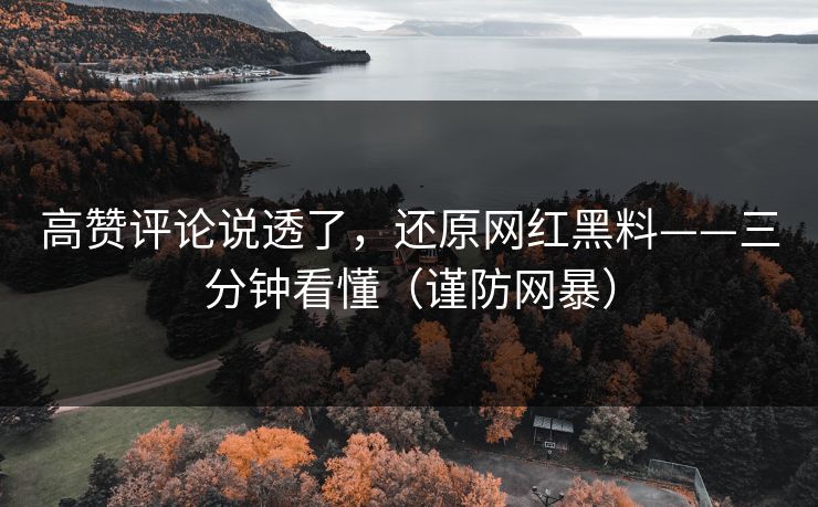 高赞评论说透了，还原网红黑料——三分钟看懂（谨防网暴）