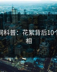 秘语空间科普：花絮背后10个细节真相
